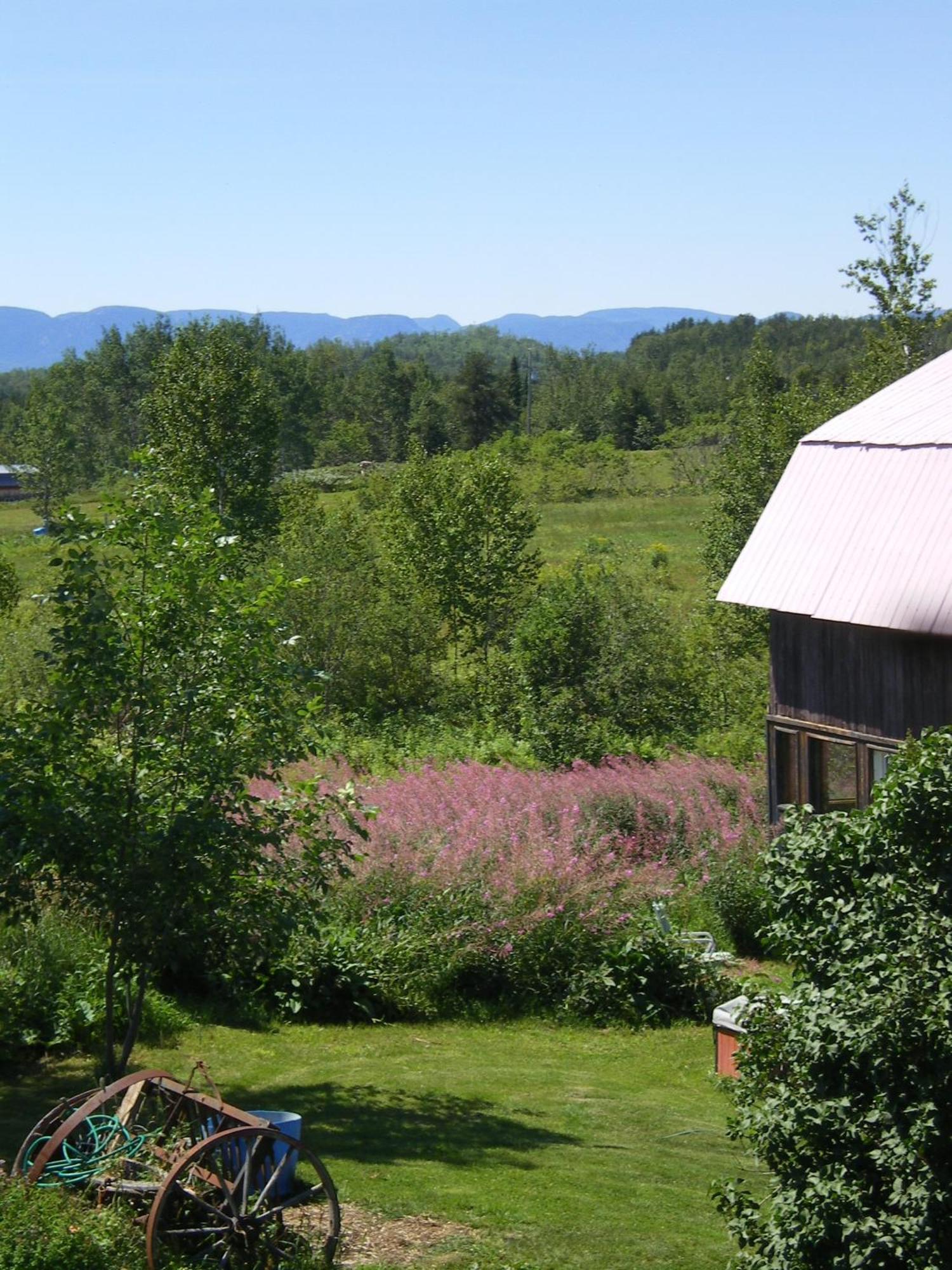 L'Aubergine Hotel Saint Hilarion Eksteriør billede